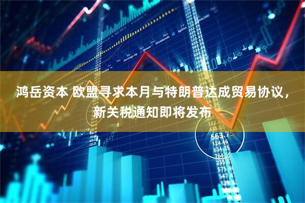 鸿岳资本 欧盟寻求本月与特朗普达成贸易协议，新关税通知即将发布