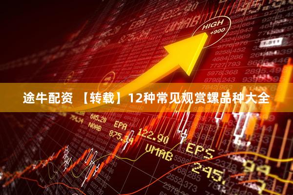 途牛配资 【转载】12种常见观赏螺品种大全