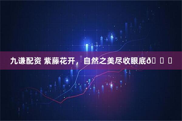 九谦配资 紫藤花开，自然之美尽收眼底💜