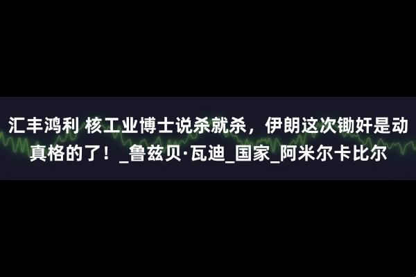 汇丰鸿利 核工业博士说杀就杀，伊朗这次锄奸是动真格的了！_鲁兹贝·瓦迪_国家_阿米尔卡比尔