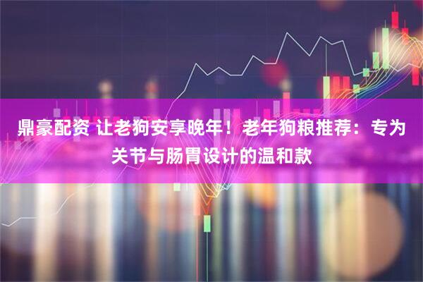鼎豪配资 让老狗安享晚年！老年狗粮推荐：专为关节与肠胃设计的温和款