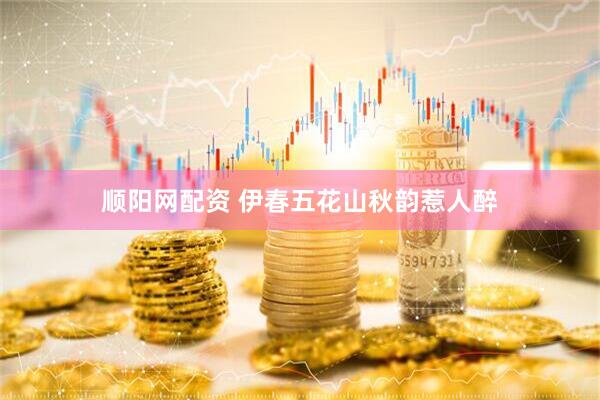 顺阳网配资 伊春五花山秋韵惹人醉